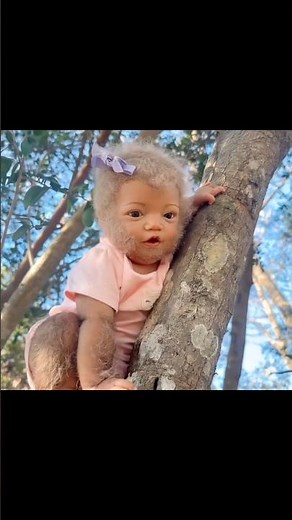 Sassy Sasquatch tries to get the squirrel