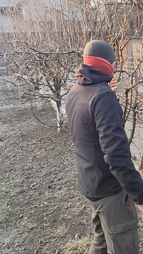 574K views · 10K reactions | Cum se aplica corect uleiul horticol! | Tibi Tips | Facebook