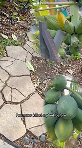 11K views · 173 reactions | I Tried 16 Fruits You’ve Probably Never...