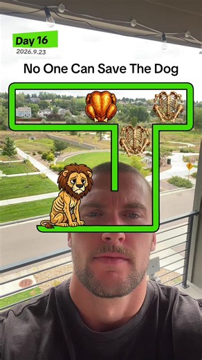 No One Can Save The Dog filter game — how to play and tips