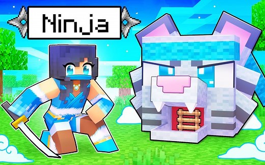 【Aphmau】我的世界|忍者秘密基地My FROST Ninja's SECRET Minecraft Base!