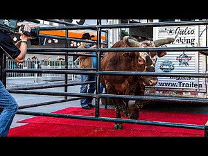 Bushwacker Took Over Hollywood! 👑 PBR VIP Tour