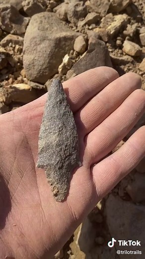 Arrowhead Hunting in Fleetwood, PA