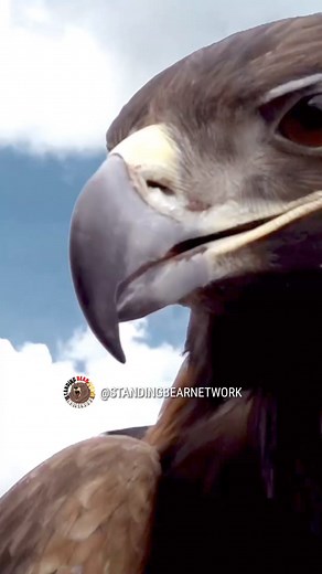 10K views · 486 reactions | The Prophecy of the Eagle and the Condor...