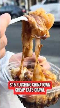 $15 Food Tour in NYC’s Largest Chinatown (Flushing Cheap Eats Crawl)