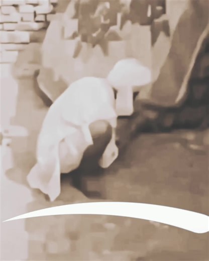 Overcoming TikTok View Issues