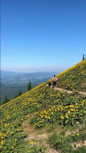 a spring bucket list hike you HAVE to do once in your life 👇👇 ➡️ Save this post to inspire your