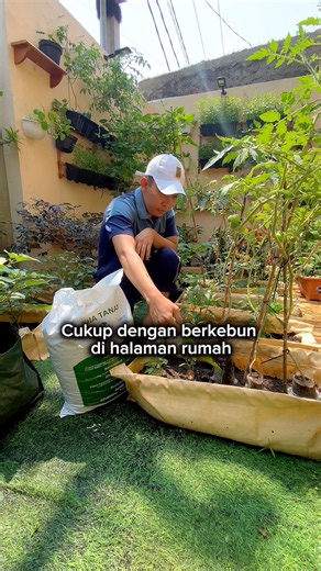 Manfaat Berkebun Di Halaman Rumah