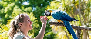 Occupation & Career Information | Auckland Zoo