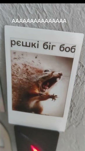 ребят я стел орешки что мне делать??