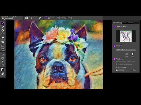 How to Auto-Paint and add effects using Painter Essentials 7