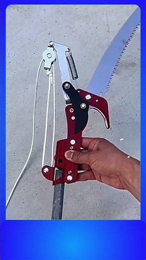 Genius Pruning Tool Setup Technique | Easy Garden Hack 🌿