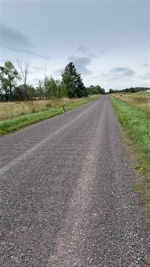 11K views · 10K reactions | Meowdy purrtners. On the road serious 類 If you’re a fan of Jack Spicer’s kitty cat cowboy content please consider being a real cowpoke and subscribing to his Patreon linked in bio  everything helps ❤️ #cat #cats #catsoftiktok #kittycat #cattok | Aaron Apps | Facebook