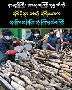1.4M views · 30K reactions | နာမည်ကြီးအာလူးကြော်ကုမ္ပဏီကို ထိုင်ငိုသွားစေတဲ့ ကိုရီးယားက ထူးခြားဆန်းပြားတဲ့ ကြာစွယ်ကြော် | စူးစမ်းလေ့လာ ကမ္ဘာ | Facebook
