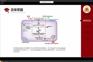 肝细胞CD36调节UBQLN1介导的自噬SNARE蛋白的蛋白酶体降解导致脓毒性肝损伤