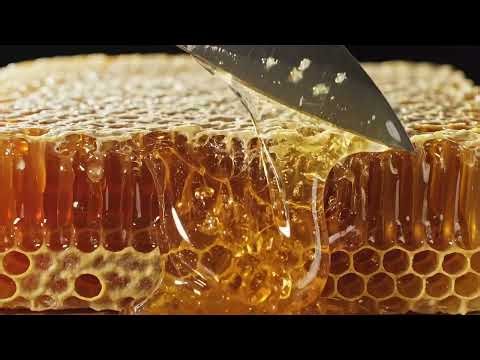 Watch Honey Bees Transform Flowers Into Gold | Complete Process 🐝