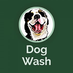 Dog Wash - Paws-itive Experience
