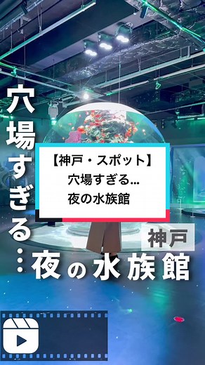 神戸・スポット - 夜の水族館で穴場すぎる体験を楽しもう！