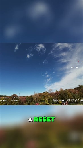 Drone Hawk Encounter: Amazing Aerial Footage! #shorts