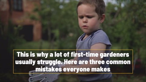 3 common gardening mistakes to avoid