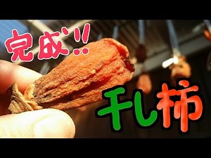 干し柿が出来ました～。暖冬にやられ今年も少しカビが…。（TT）でも熱湯消毒と焼酎（ホワイトリカー）に漬けるのは効果あり！Caqui seco.pronta