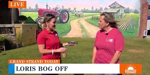 Head out to Downtown Loris for the annual Loris Bog-Off Festival.