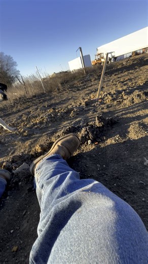 HELP! How to catch a super skittish stray.