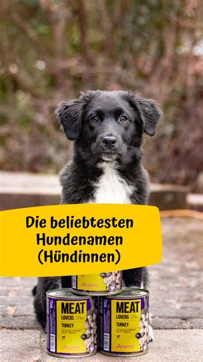...und für alle Besitzer einer Hündin haben wir natürlich auch noch eine Liste der beliebtesten weiblichen Hundenamen im letzten Jahr parat. 🐶💛 Na, ist Dein Liebling hier zu finden? #josera #joserapetfood #petfoodwithpassion #hundenamen #hundeleben #hundeliebe #hundefutter #top10 | Josera Heimtier