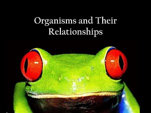 PPT - Organisms and Their Relationships PowerPoint Presentation, free download - ID:1885120