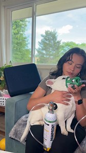 In 99% of cases, pet owners are the one transporting their pets to emergency care. Isn't it time they're equipped to get them there? ✨ We created rescue oxygen kits so that veterinarians had a way to transport pets on oxygen between hospitals, now this rescue product is available for pet owners to keep at home. | Pawprint Oxygen