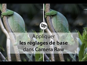 How to use camera raw in Photoshop