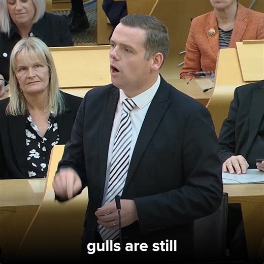 23 years on from the last Member’s Debate, gulls are still an increasing problem in our communities. It's time for SNP ministers to listen and act to protect the public from this menace. Watch the full debate: https://www.scottishparliament.tv/meeting/meeting-of-the-parliament-june-26-2025?clip_start=12:48:13&clip_end=13:48:09 | Douglas Ross MSP