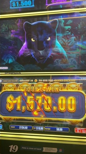$10 BET → $1,570 WIN 😳🐆 DID NOT EXPECT THIS! #Pokies #PokieWins #PokiesAustralia #aussiepokies