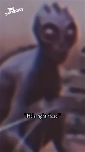 This video is alleged to show the famous 1996 Varginha, Brazil alien. In the audio, the cameraman mutters in Portuguese, “He’s right there.” James Fox, director of the documentary, Moment of Contact, which resolves around the actual encounter has called this fake. Will we ever see a video of the actual aliens encountered that day? #aliens #alien #disclosure #momentofcontact #varginha | The Scarecast