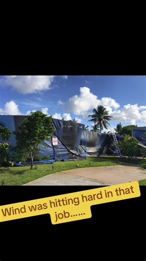 #foryou #miami #pestcontrol #termites #foryourpage