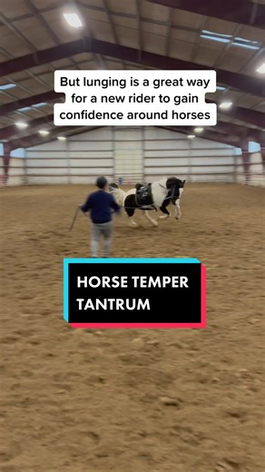 Harper lost her mind today! It’s ok though that’s what lunging is for. To get a horses energy out and help grow a riders confidence. #lunginghorses #equestrianlife #beginnerhorserider #horsetrainer #equestrianproblem #fyp