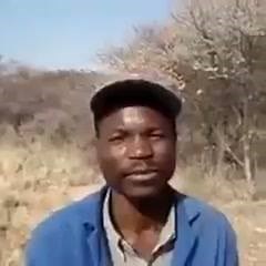 106K views · 458 reactions | Say helicopter! | Funny Videos | Facebook