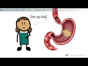 Insoluble and Soluble Fiber Dietary Needs