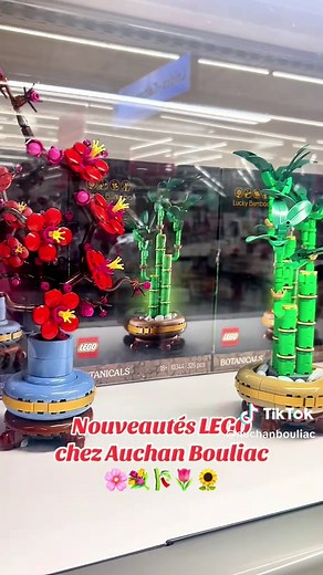 Nouveautés LEGO à Auchan Bouliac : Découvrez les nouveautés!
