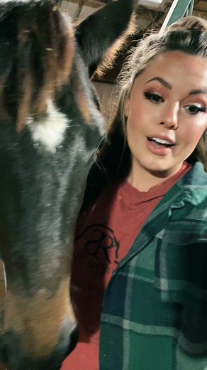 Celebrating Horses' Birthdays with Joy 🎉🥳