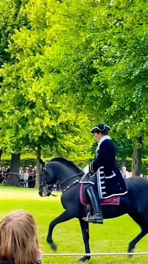 ⚜️Richard Hinrichs 2024 #barock #horse #FN #klassischbarockereiterei #40jahrejubiläum