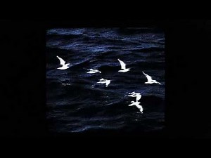 ISHA x LIMSA D'AULNAY TYPE BEAT - "EXODE"