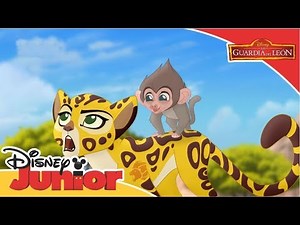 La Guardia del León: Momentos Mágicos - El Pequeño Babuino | Disney Junior Oficial