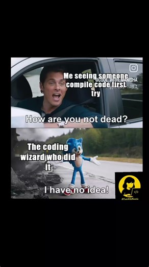When code compiles SUCCESSFULLY #codinghumor #funnymemes #funny #memes #funnyprogramming