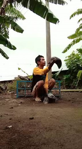 Anggry Prechild on TikTok