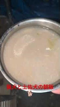 鶏頭ミンチ雑炊 猟犬と土佐犬の朝飯🐕️