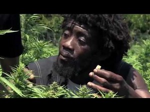 Jamaica Cannabis , Weed (Documentary)