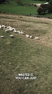 ❌ Sick of straining your back, wasting hay, time and money? ✔️ Two farmers decided to invest in a Hustler bale unroller for their livestock feeding routine, drastically improving their efficiency, increasing their bottom-line.And you, when are you stepping out the hay ring? 🐮 Learn more: https://www.hustlerequipment.com/bale-feeders/mounted-bale-unrollers | Hustler Equipment