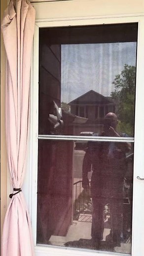 Storm Door Curtains Actually Work #surprising #diy #lifehack