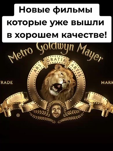 Лучшие фильмы для вечера — подборка и рекомендации